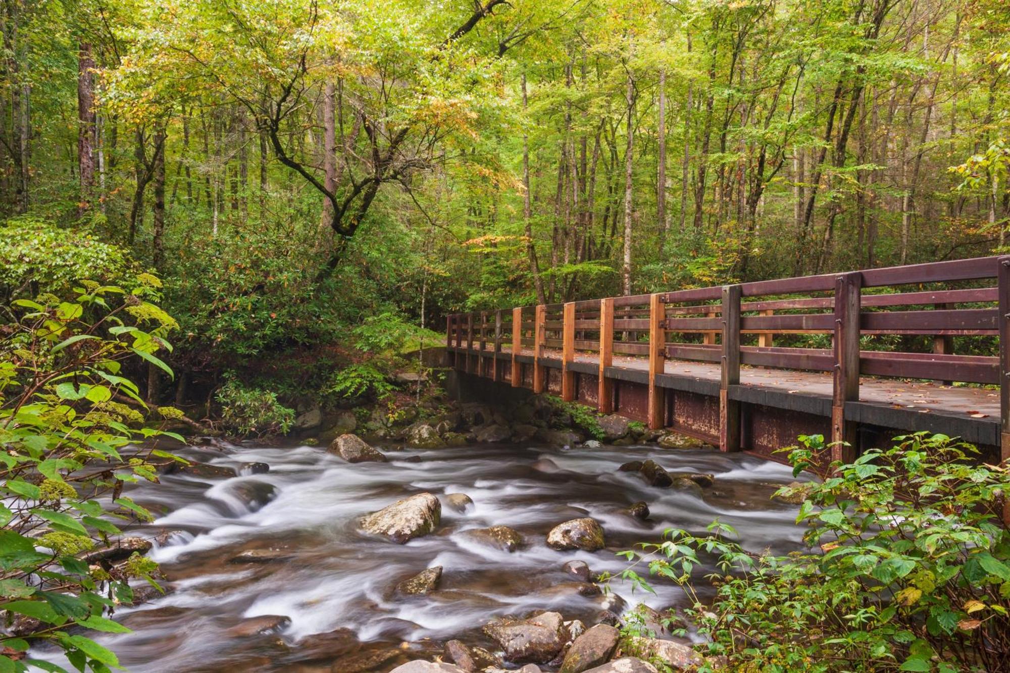 Laurel Cottage, 1089 Free Tickets Each Paid Day, Dollywood And More Sevierville Buitenkant foto